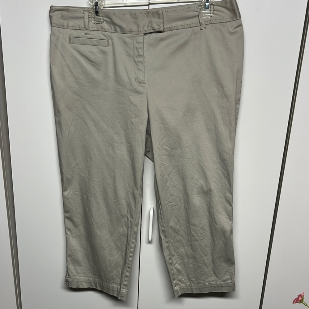 Style & Co. Beige Cropped Pants Size 14